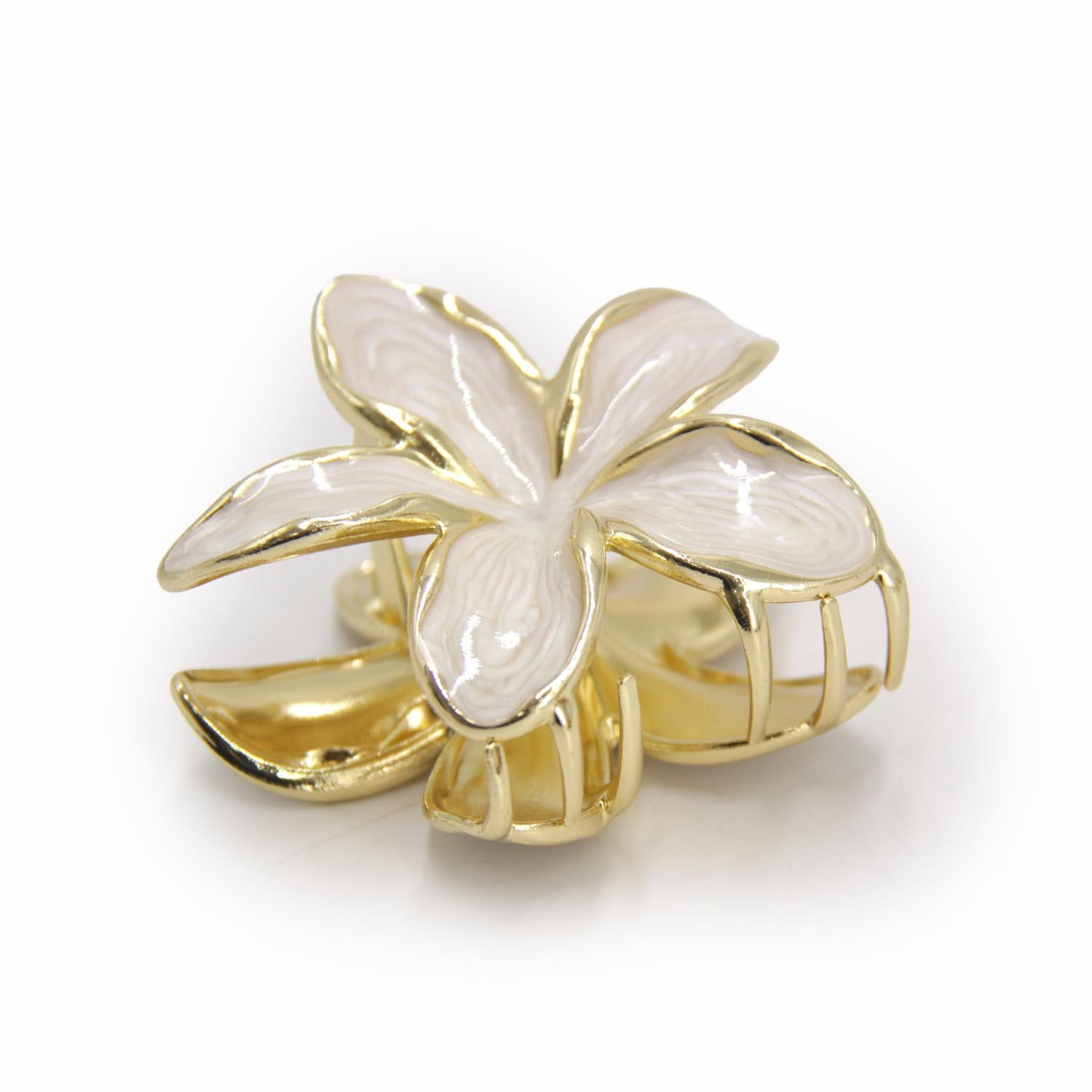 jpg_1500x1500_67494723